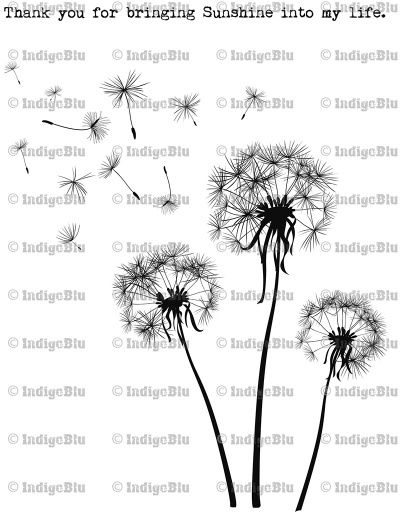 Dandelion Clock - Digi